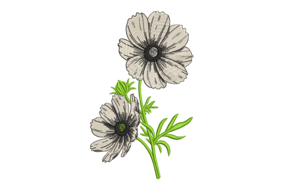 Wildflower Sketch Duo – Modern Floral Embroidery